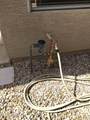 16220 Crocus Drive - Photo 39