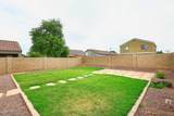 1381 Daniella Drive - Photo 39