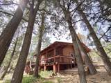 4761 Pine Lane - Photo 6