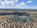 5785 Muytala Drive - Photo 2
