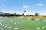 9871 Palo Verde Drive - Photo 61