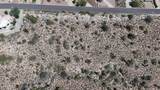 15231 Mustang Drive - Photo 8