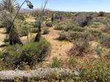 420XX La Plata Road - Photo 6