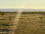9023 Appaloosa Trl Lot A, 5 Acres - Photo 11