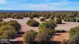 9023 Appaloosa Trl Lot A, 5 Acres - Photo 14