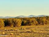 9023 Appaloosa Trl Lot A, 5 Acres - Photo 15