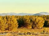 9023 Appaloosa Trl Lot A, 5 Acres - Photo 2
