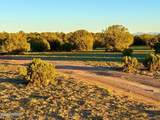 9023 Appaloosa Trl Lot C, 10 Acres - Photo 12