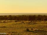 9023 Appaloosa Trl Lot C, 10 Acres - Photo 18