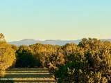 9023 Appaloosa Trl Lot C, 10 Acres - Photo 20