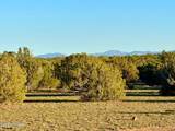 9023 Appaloosa Trl Lot C, 10 Acres - Photo 23