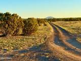 9023 Appaloosa Trl Lot C, 10 Acres - Photo 5