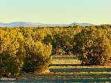 9023 Appaloosa Trl Lot C, 10 Acres - Photo 9