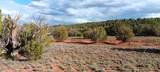 8638 Dragon Drive - Photo 10