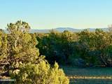 9023 Appaloosa Trl Lot E, 10 Acres - Photo 15