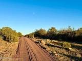 9023 Appaloosa Trl Lot E, 10 Acres - Photo 21