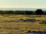 9023 Appaloosa Trl Lot E, 10 Acres - Photo 23