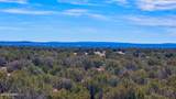 9023 Appaloosa Trl Lot E, 10 Acres - Photo 9