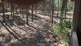 2425 Tall Trees Loop - Photo 31