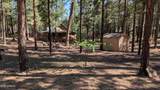 2425 Tall Trees Loop - Photo 37