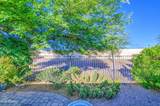 25225 Flame Tree Drive - Photo 36