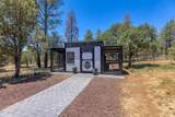 5182 Pinedale Wash Road - Photo 46