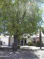 307 Taro Lane - Photo 1