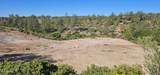 6303 Deer Run Road - Photo 8
