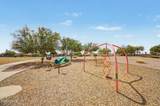 12114 Pivot Peak - Photo 45