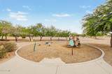 12114 Pivot Peak - Photo 48