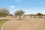 12114 Pivot Peak - Photo 49