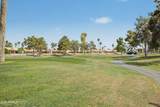 26430 Ribbonwood Drive - Photo 34