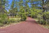 129 Spitz Spring Road - Photo 44