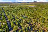 2332 Hall Drive - Photo 80
