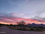10847 Kings Ranch Road - Photo 31