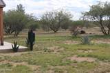 10847 Kings Ranch Road - Photo 35
