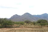 10847 Kings Ranch Road - Photo 42