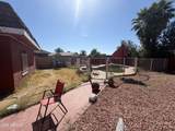 6411 Verde Lane - Photo 39