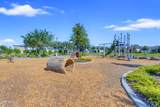 20493 Pummelos Road - Photo 119