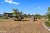 20493 Pummelos Road - Photo 120