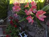 6357 Calle De La Menta - Photo 43
