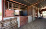 6357 Calle De La Menta - Photo 5