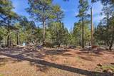 2060 Gilbert Lane - Photo 56