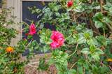 38502 Dawn Court - Photo 57