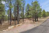 3009 Starlight Drive - Photo 25
