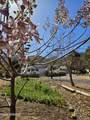 4510 Wickersham Road - Photo 33