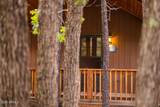 3845 Turkey Track Road - Photo 4