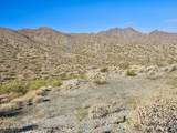 26005 Bass Boat Road - Photo 16