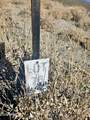 26005 Bass Boat Road - Photo 17