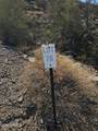 26005 Bass Boat Road - Photo 4